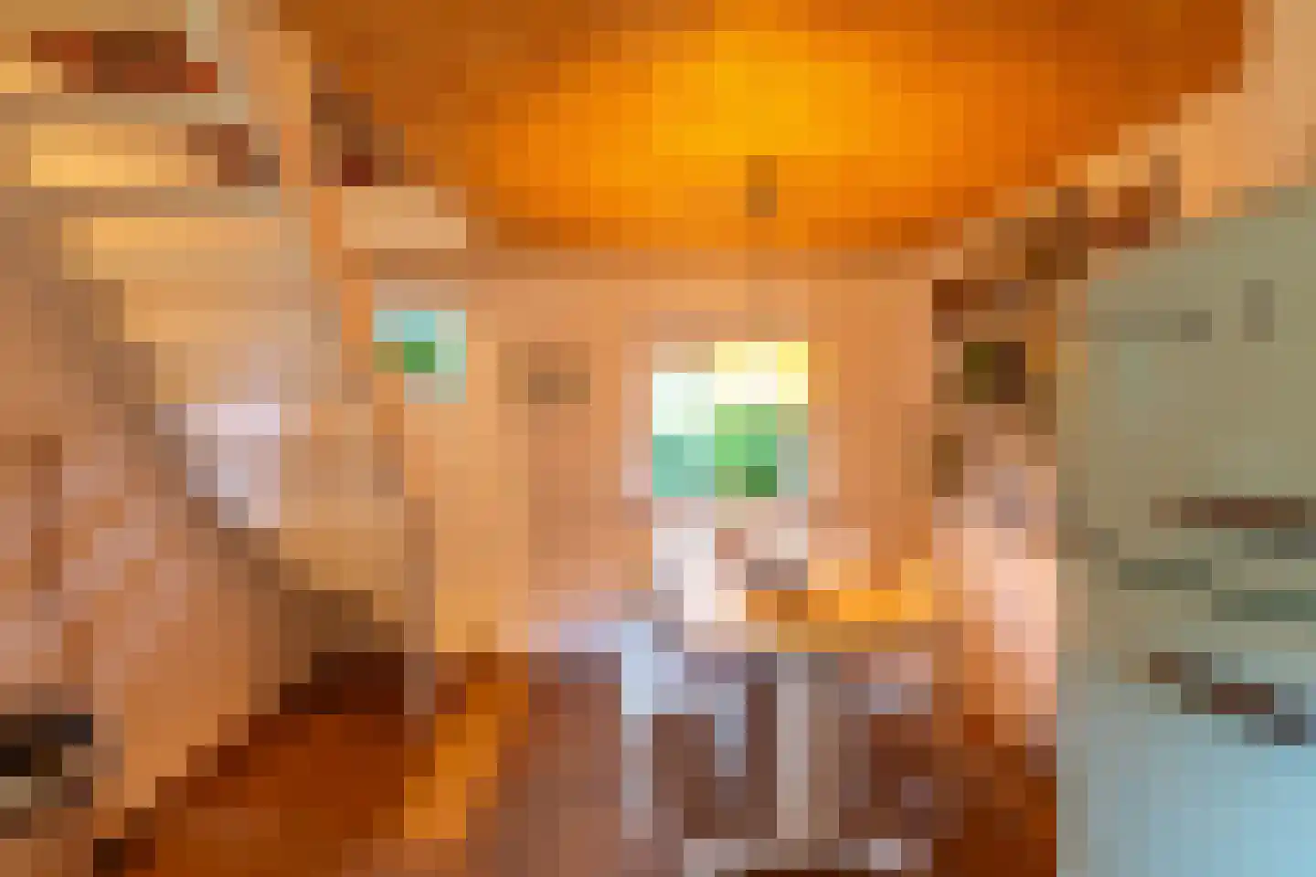 Tienelsweg 33 B 220 Zuidlaren thumbnail 18