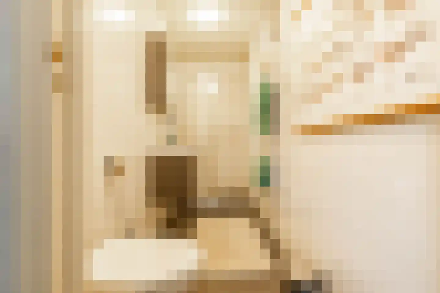 Tienelsweg 33 B 220 Zuidlaren thumbnail 21