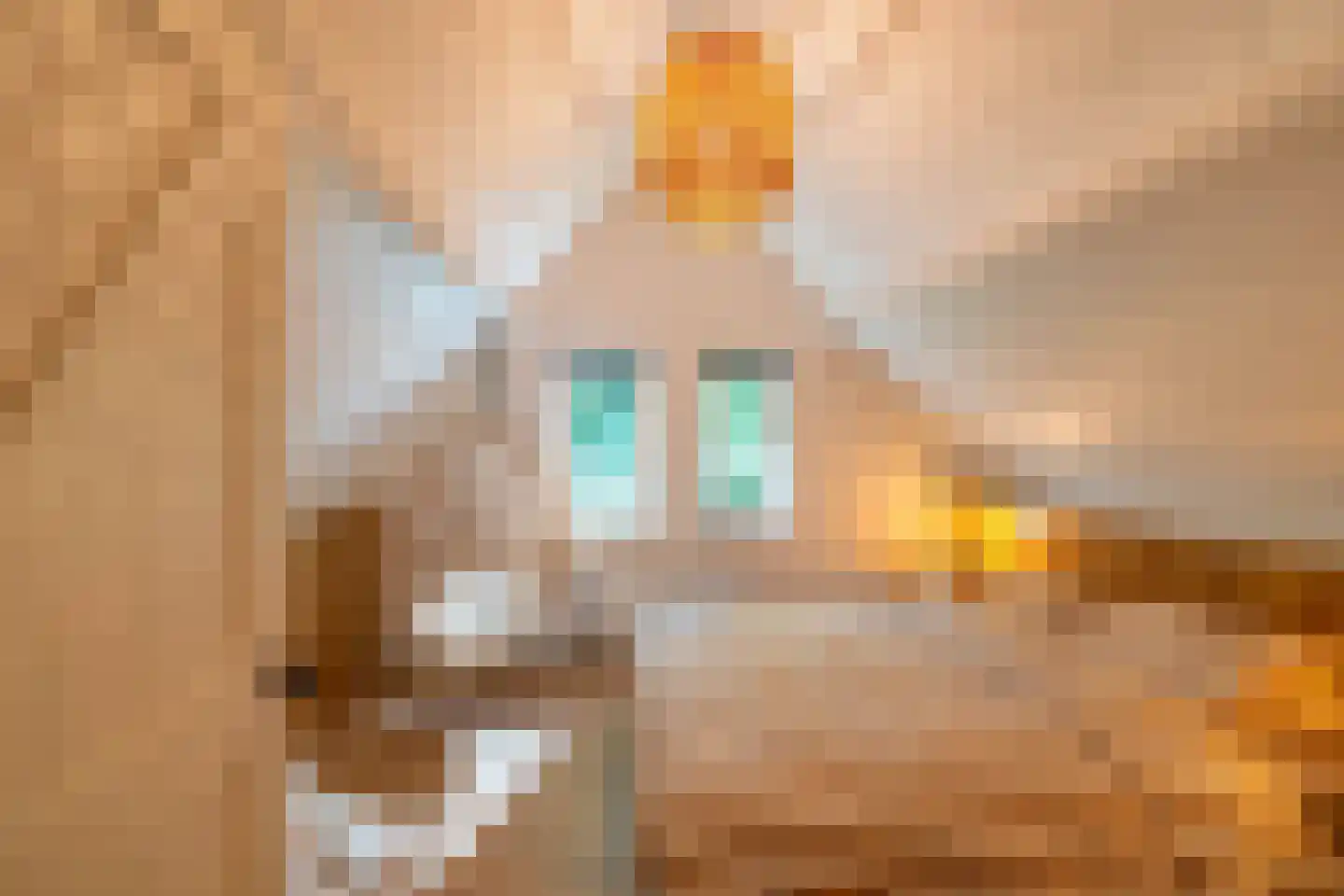 Tienelsweg 33 B 220 Zuidlaren thumbnail 24