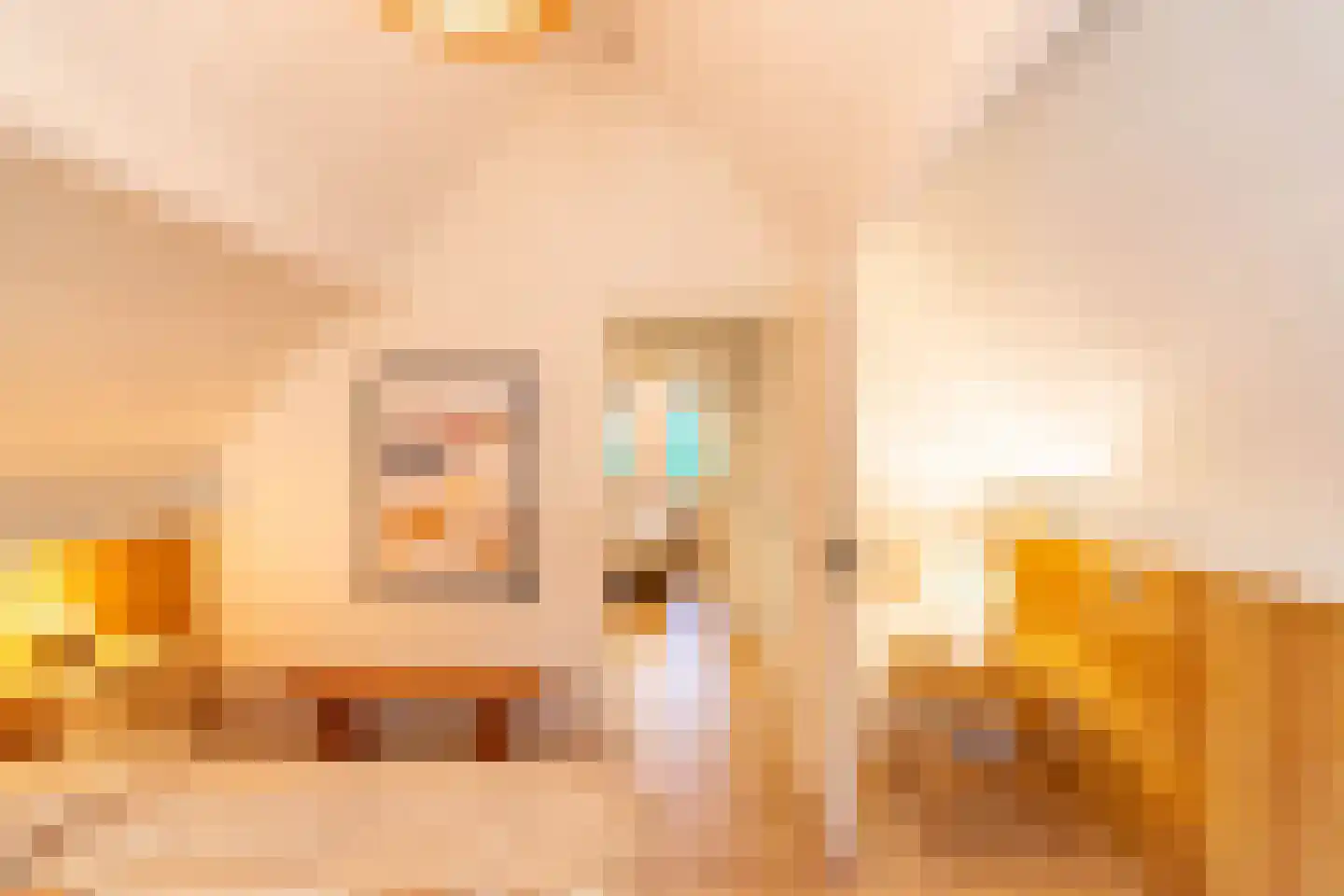 Tienelsweg 33 B 220 Zuidlaren thumbnail 26
