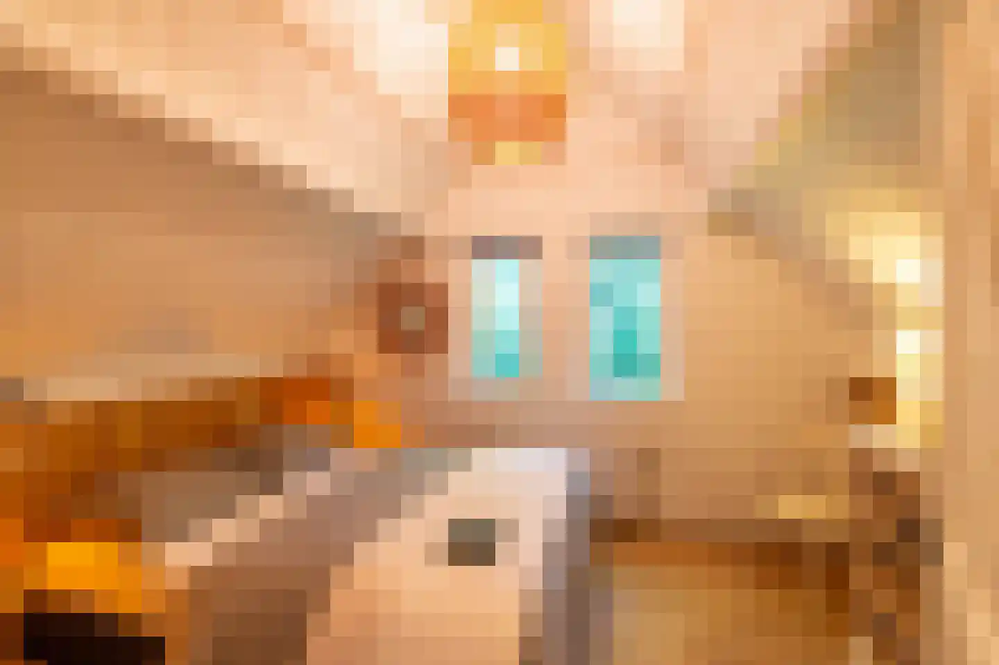 Tienelsweg 33 B 220 Zuidlaren thumbnail 27
