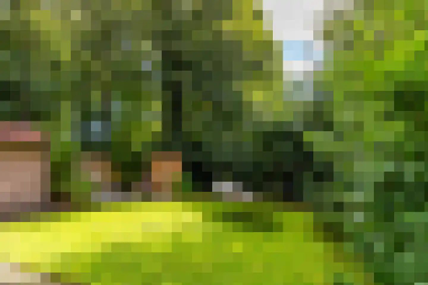 Tienelsweg 33 B 220 Zuidlaren thumbnail 29