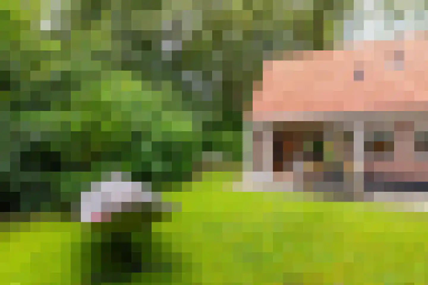 Tienelsweg 33 B 220 Zuidlaren thumbnail 8