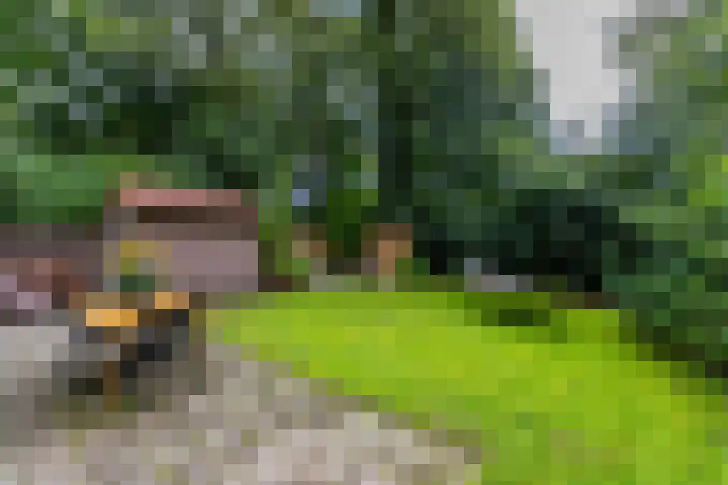 Tienelsweg 33 B 220 Zuidlaren thumbnail 9