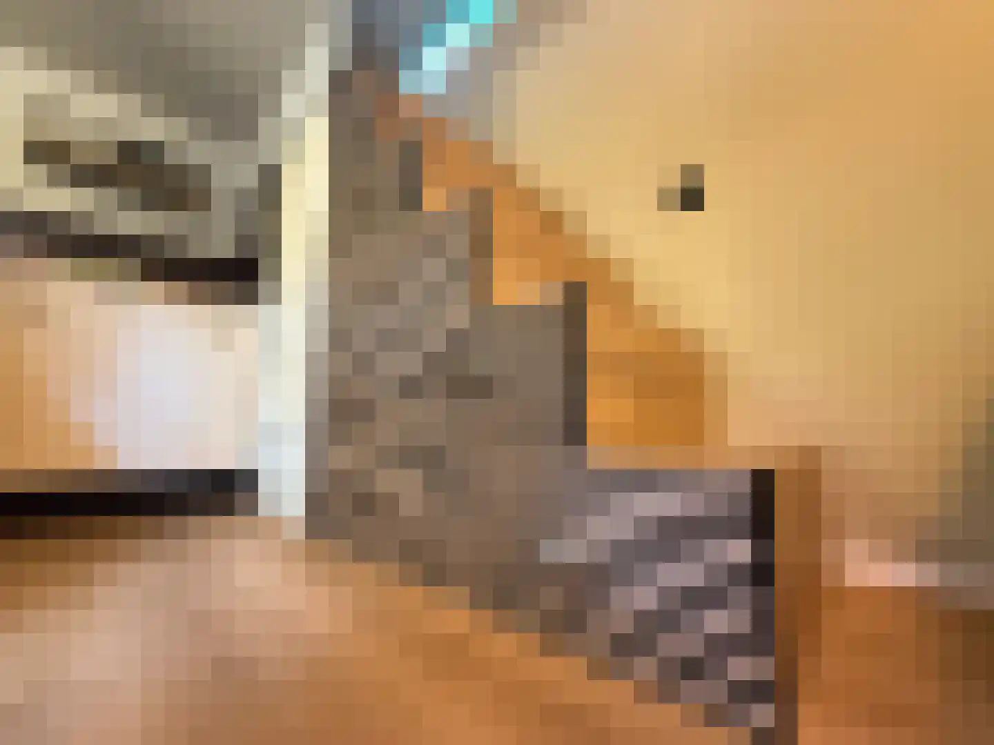 Tienelsweg 35 Zuidlaren thumbnail 10