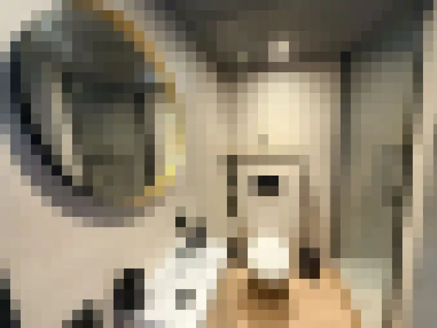 Tienelsweg 35 Zuidlaren thumbnail 15