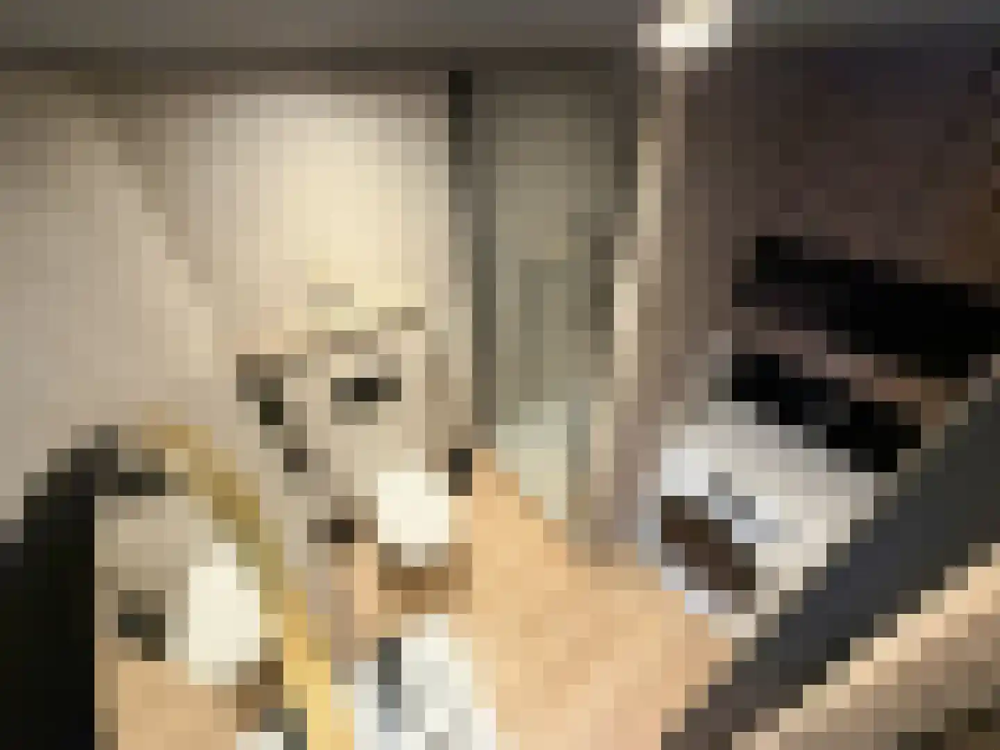 Tienelsweg 35 Zuidlaren thumbnail 16