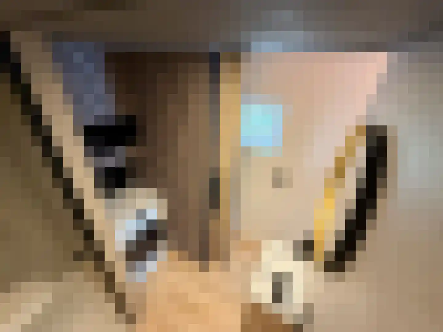 Tienelsweg 35 Zuidlaren thumbnail 17