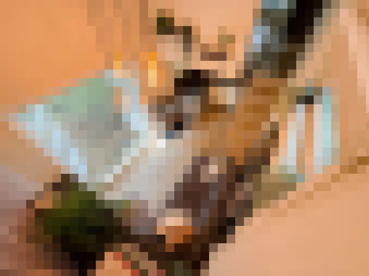 Tienelsweg 35 Zuidlaren thumbnail 18