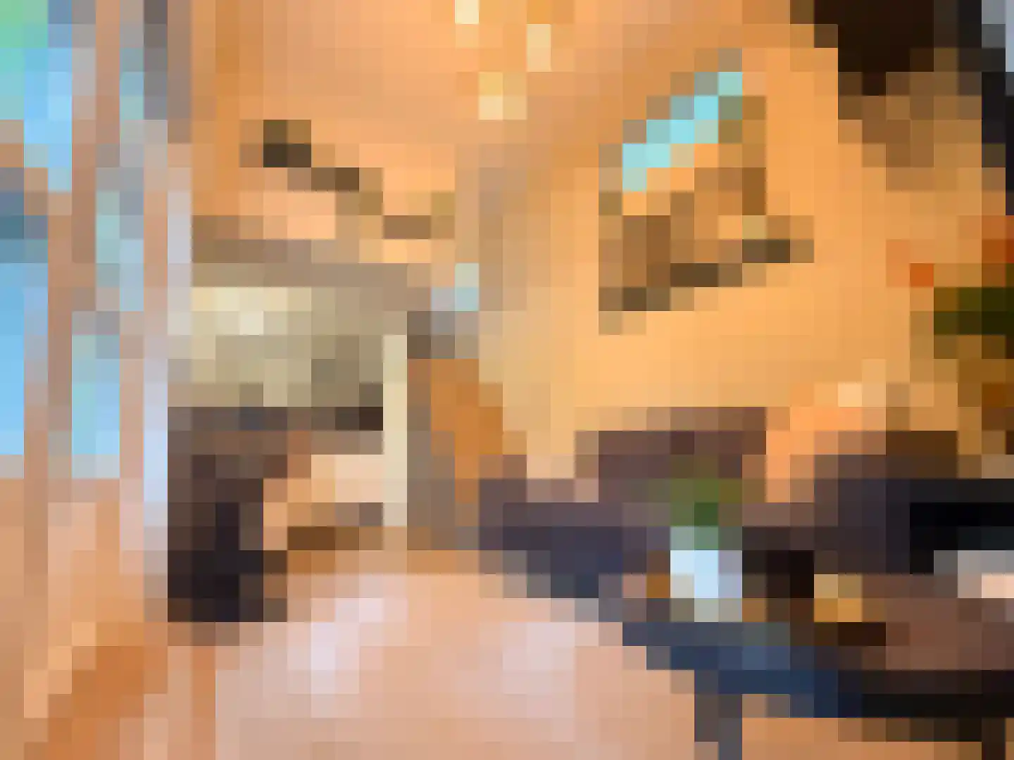 Tienelsweg 35 Zuidlaren thumbnail 4