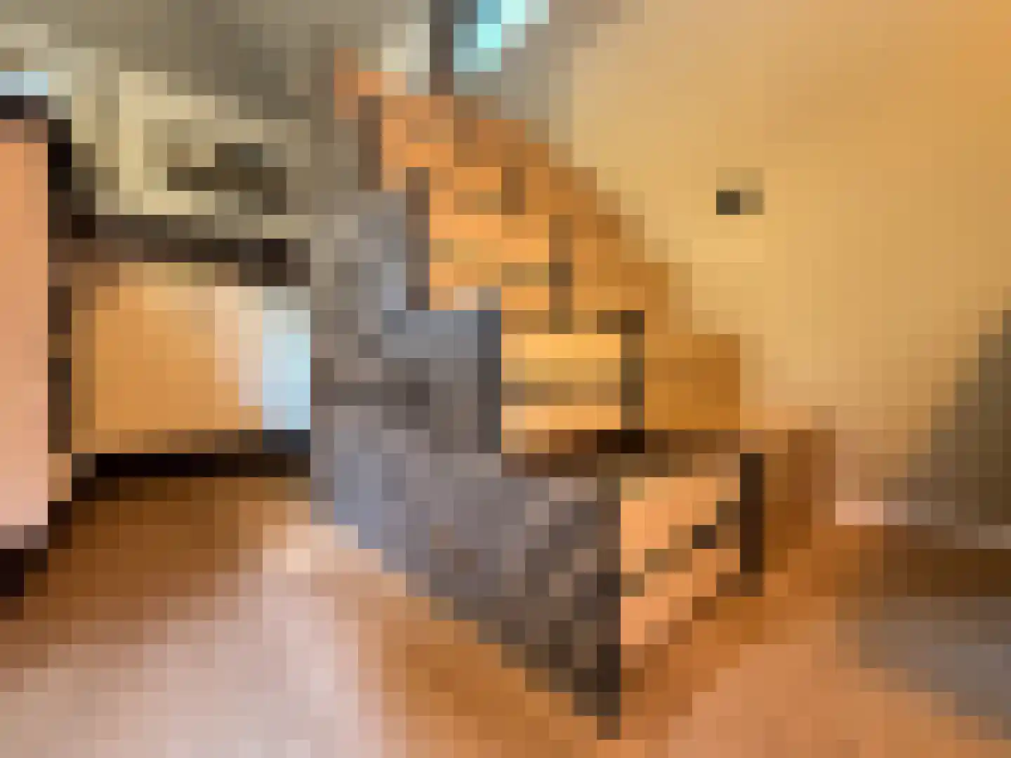 Tienelsweg 35 Zuidlaren thumbnail 9