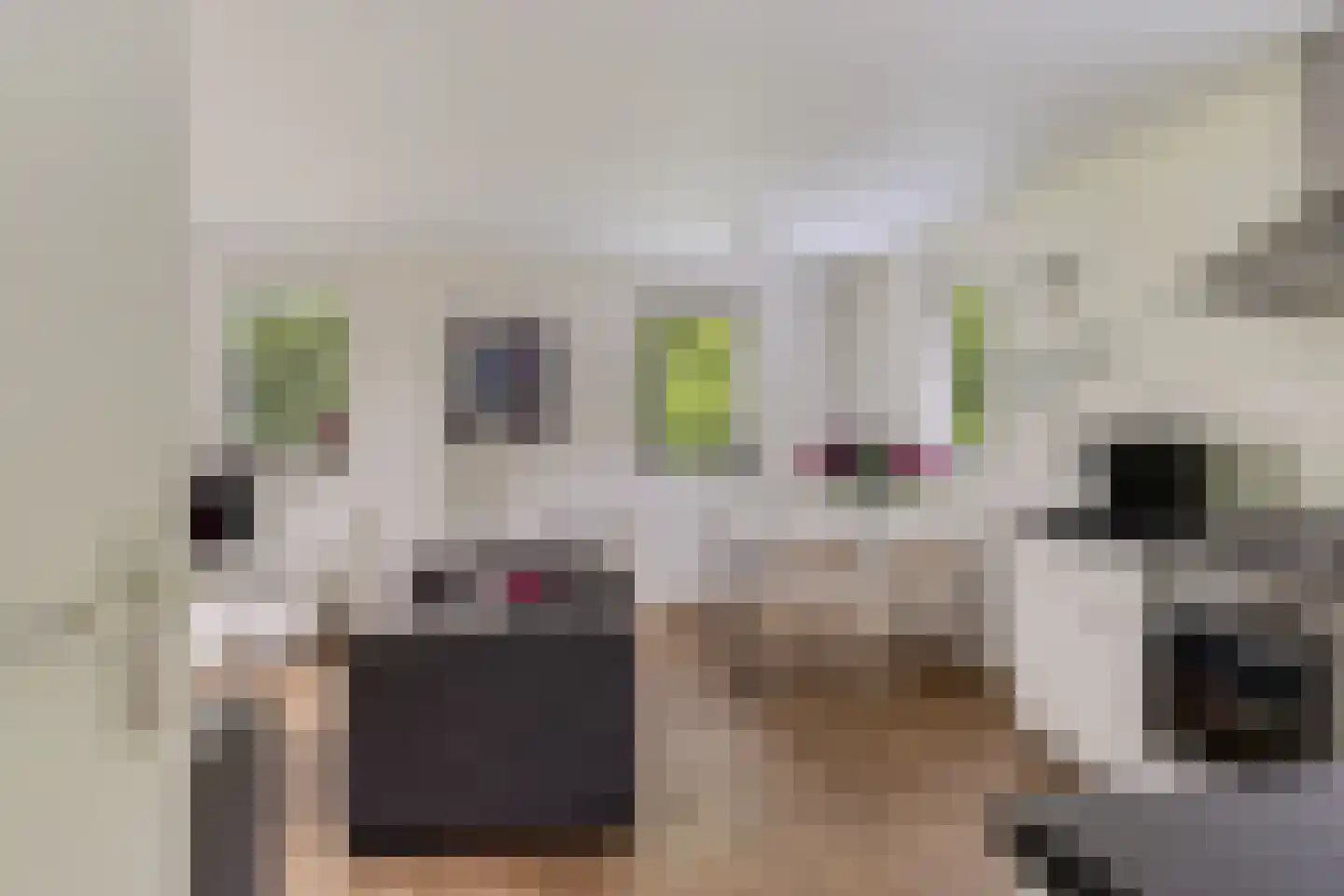 Tienelsweg 37 105 Zuidlaren thumbnail 12