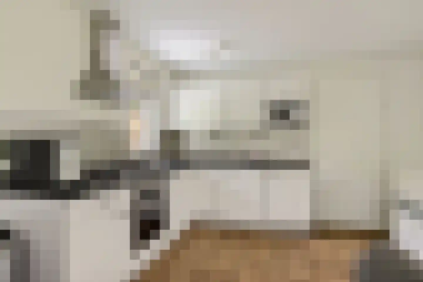 Tienelsweg 37 105 Zuidlaren thumbnail 18