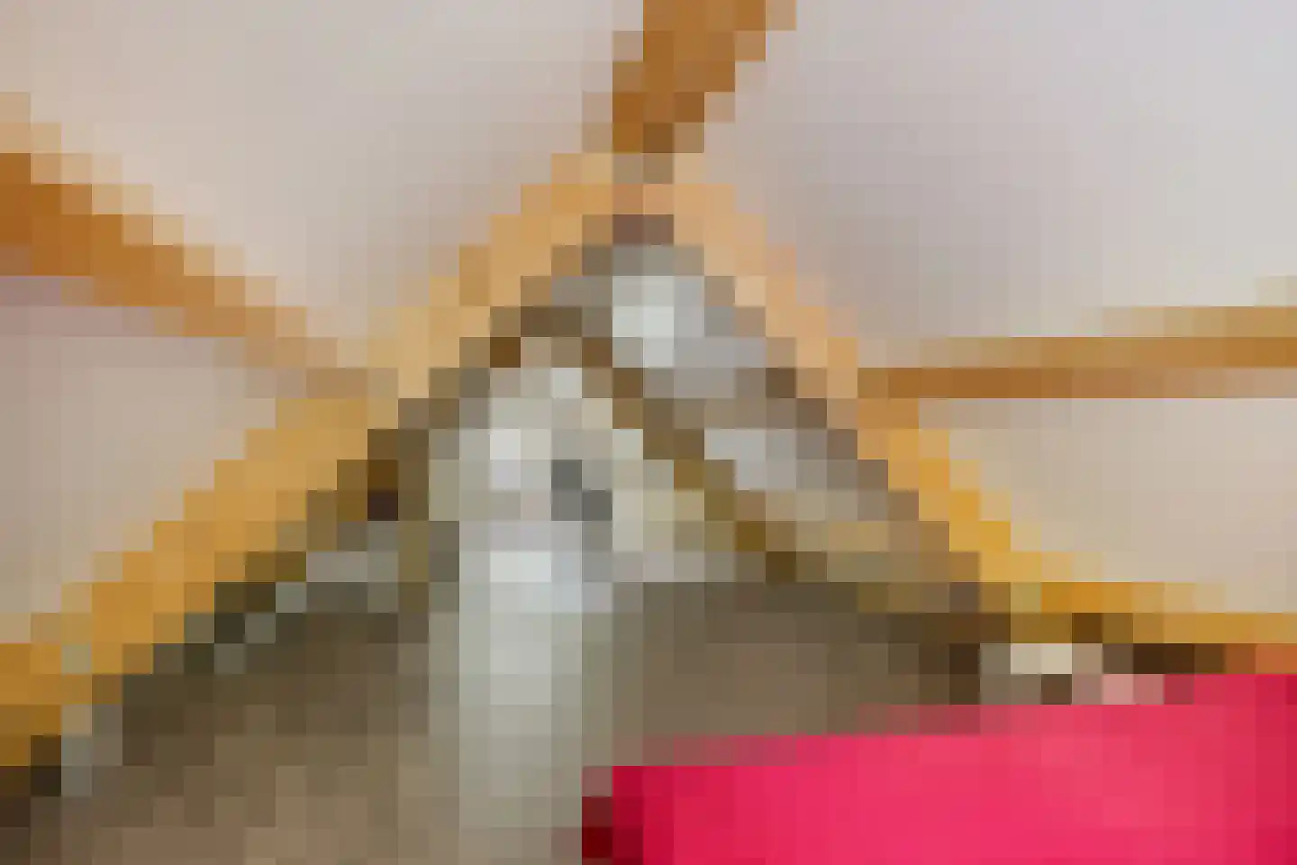 Tienelsweg 37 105 Zuidlaren thumbnail 27