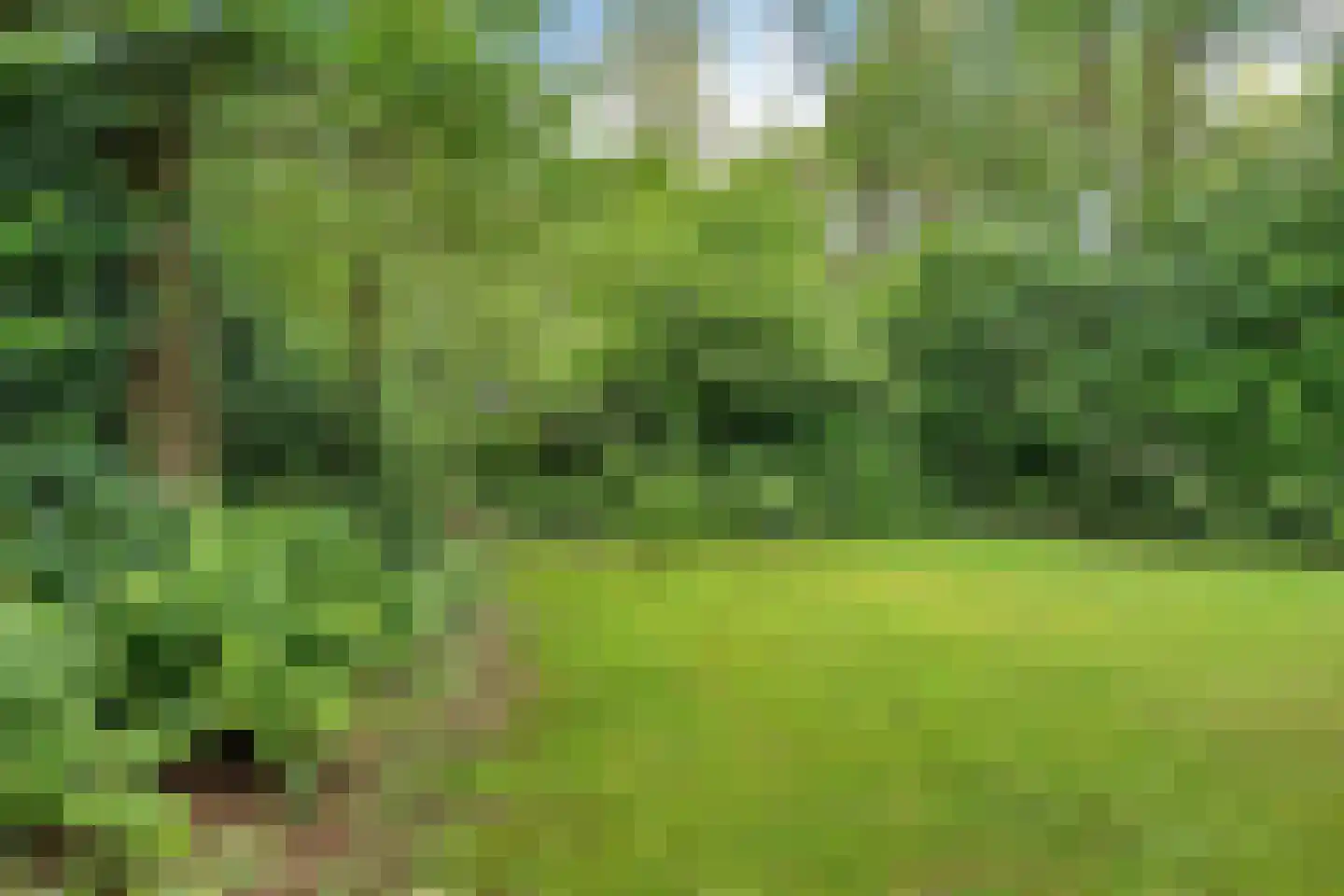 Tienelsweg 37 105 Zuidlaren thumbnail 30