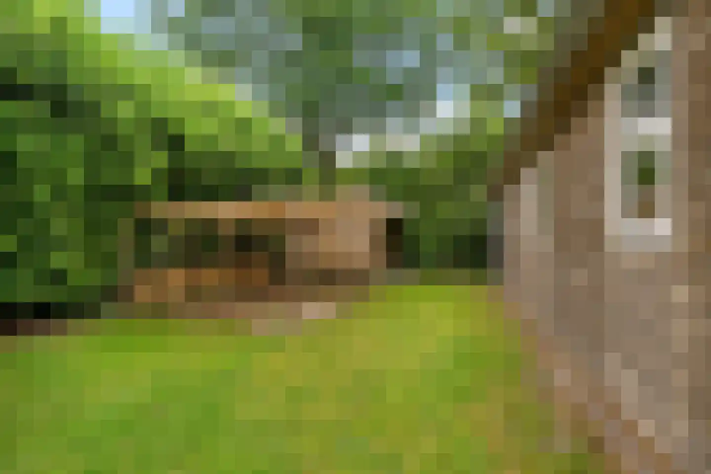 Tienelsweg 37 105 Zuidlaren thumbnail 31