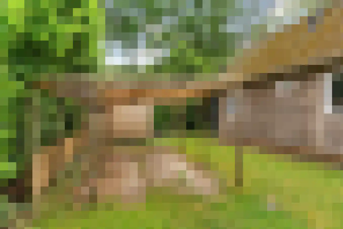 Tienelsweg 37 105 Zuidlaren thumbnail 32