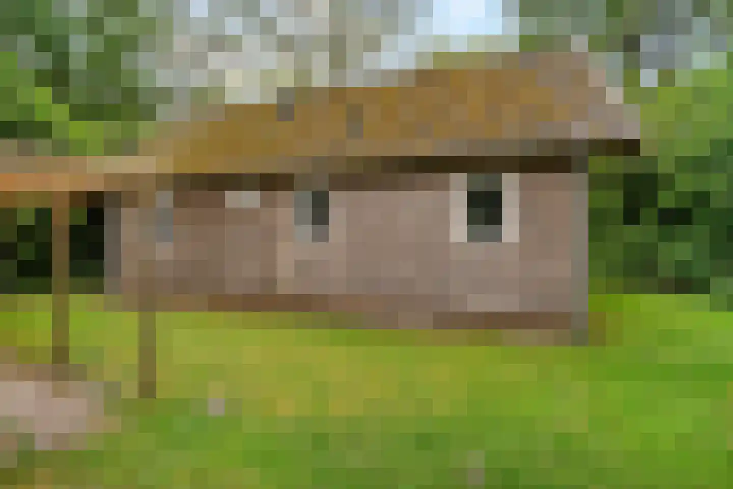 Tienelsweg 37 105 Zuidlaren thumbnail 33
