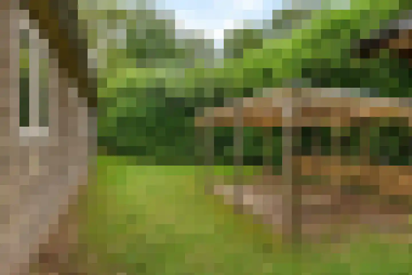 Tienelsweg 37 105 Zuidlaren thumbnail 34