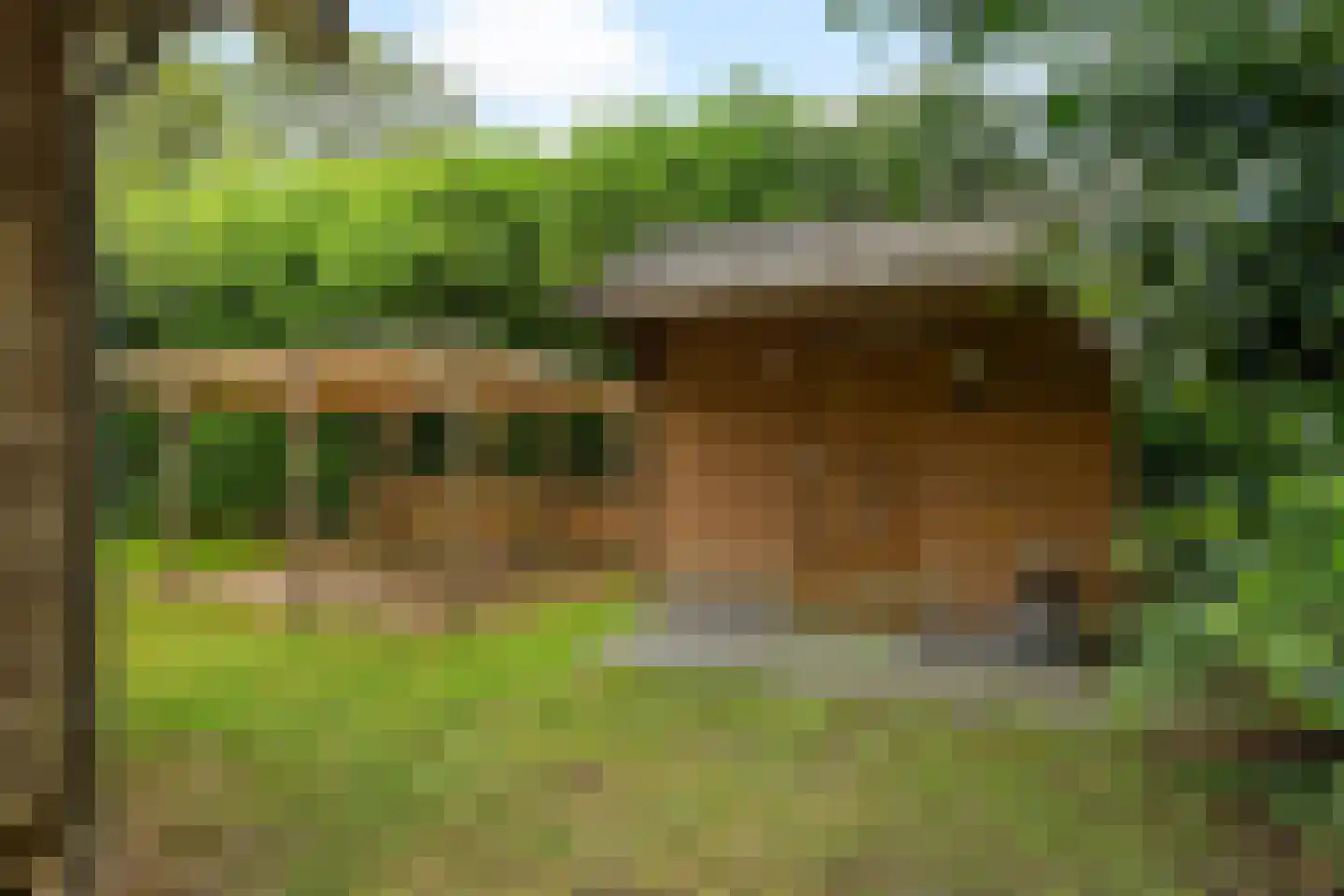 Tienelsweg 37 105 Zuidlaren thumbnail 35