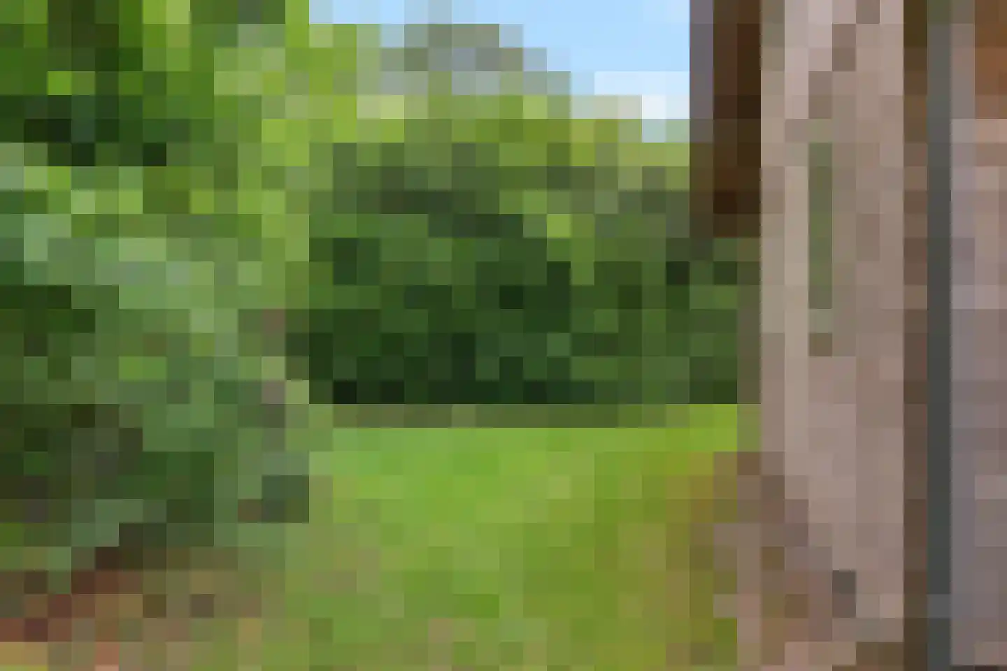 Tienelsweg 37 105 Zuidlaren thumbnail 36