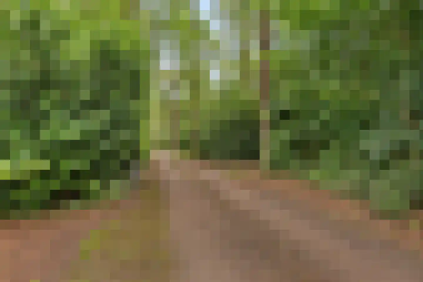 Tienelsweg 37 105 Zuidlaren thumbnail 38