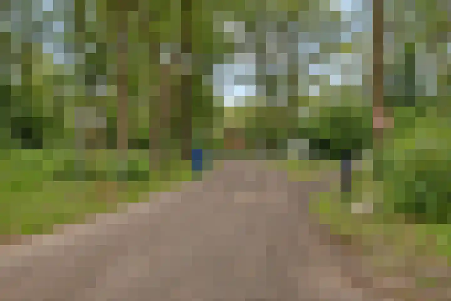 Tienelsweg 37 105 Zuidlaren thumbnail 39