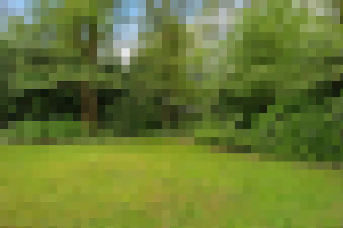 Tienelsweg 37 105 Zuidlaren thumbnail 4