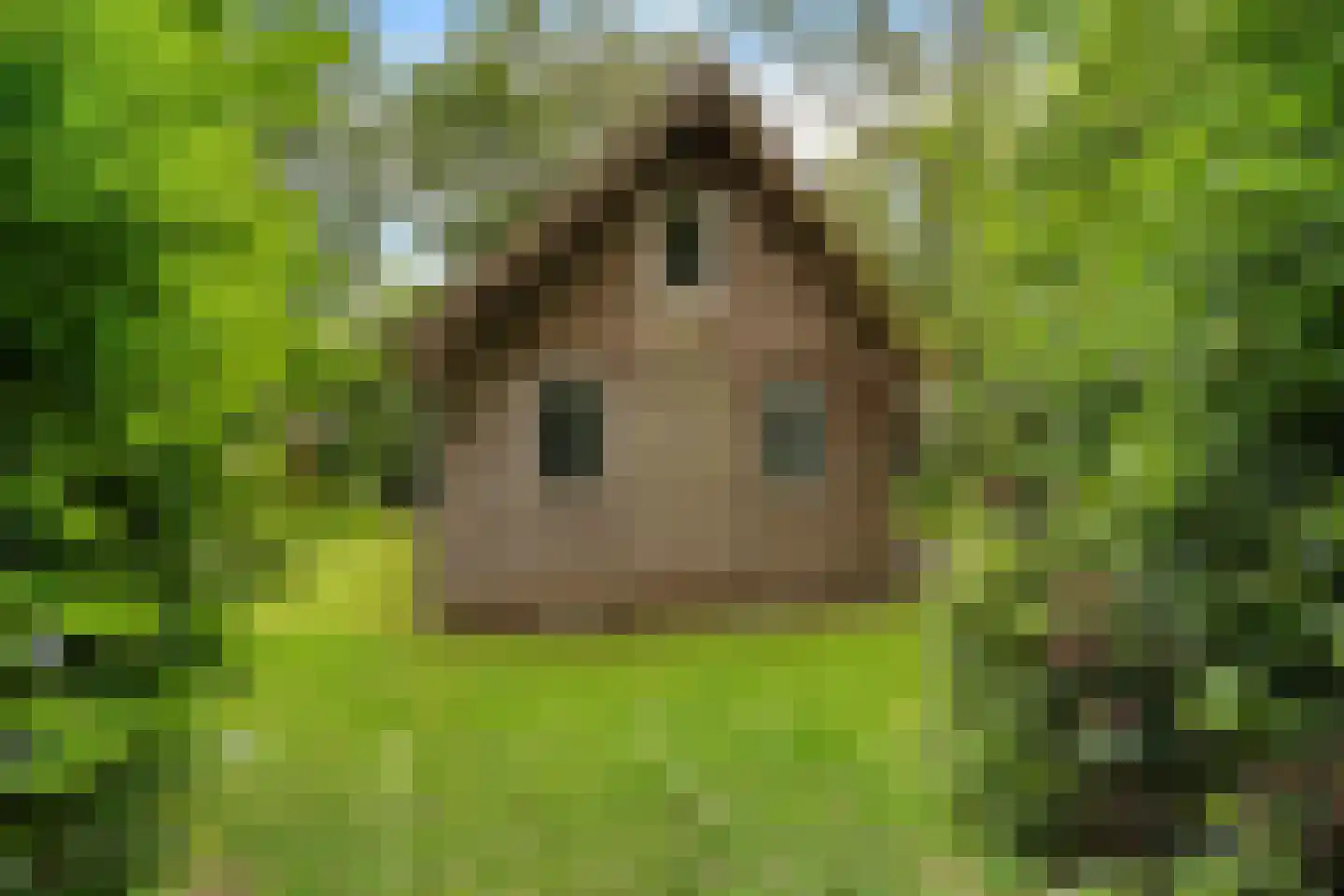 Tienelsweg 37 105 Zuidlaren thumbnail 5
