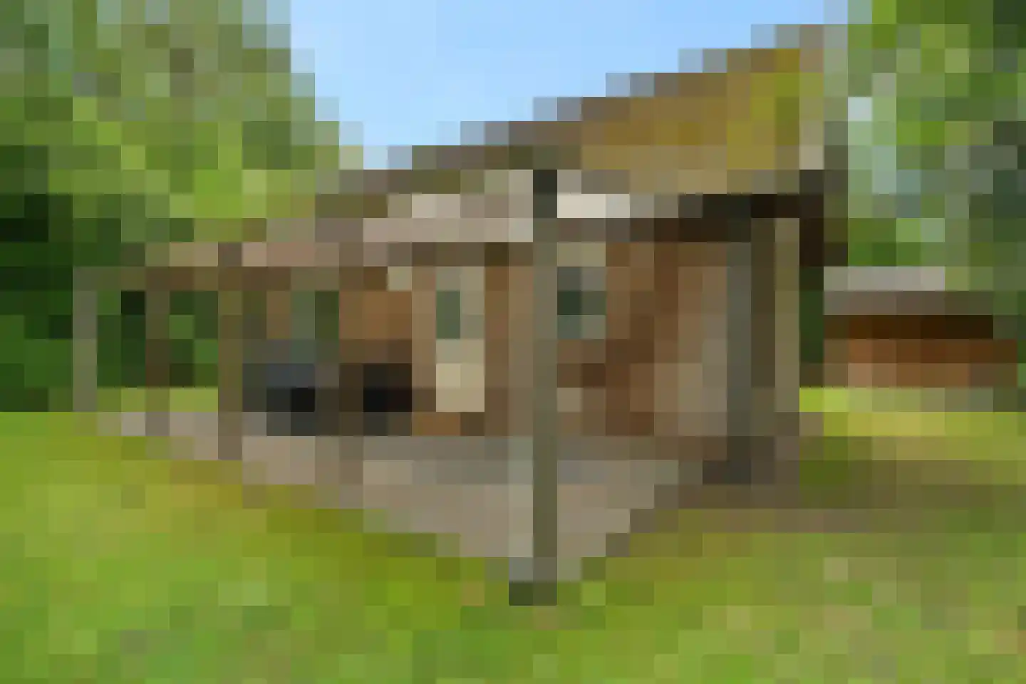 Tienelsweg 37 105 Zuidlaren thumbnail 7