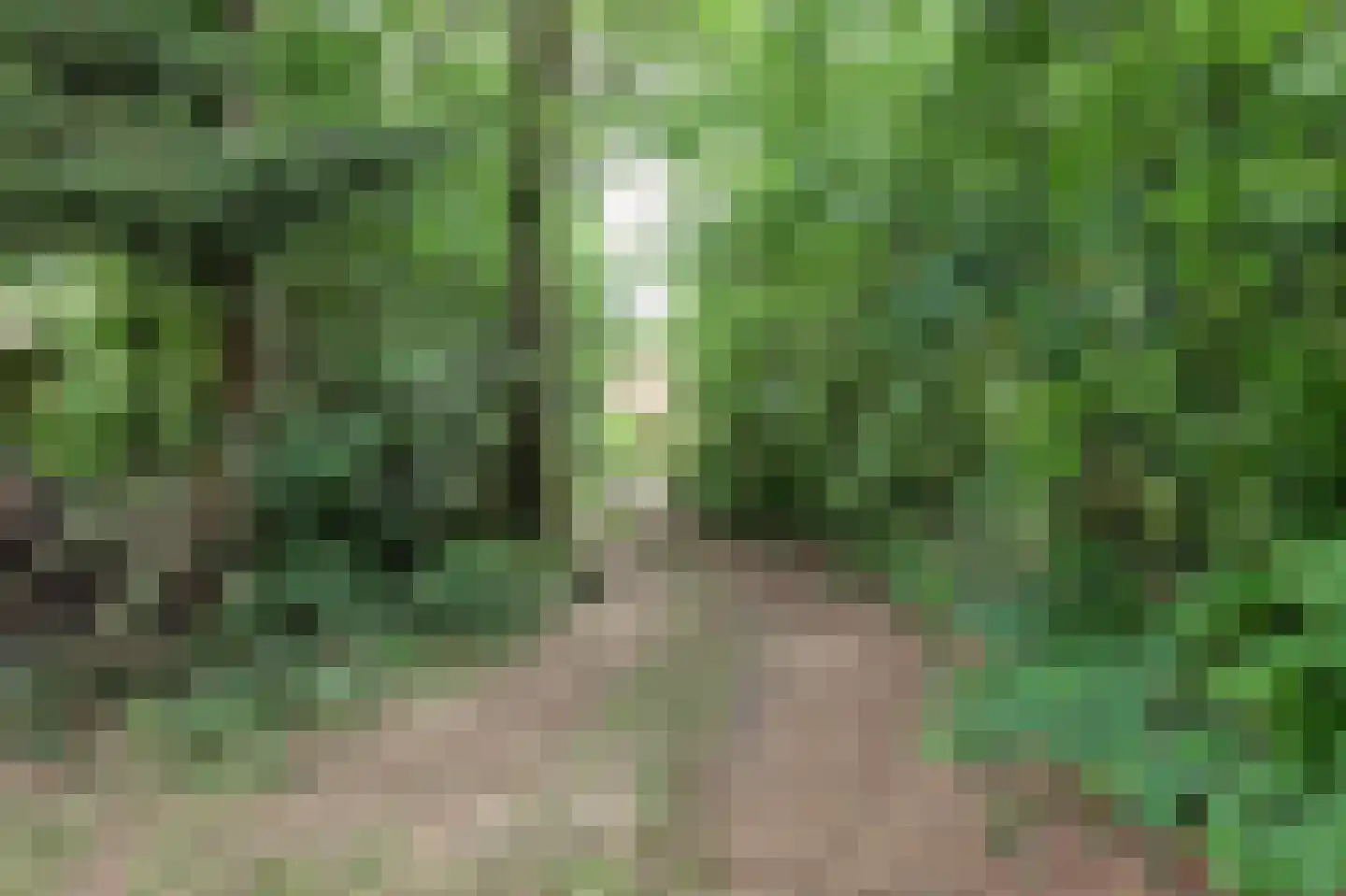 Tienelsweg 37 124 Zuidlaren thumbnail 16