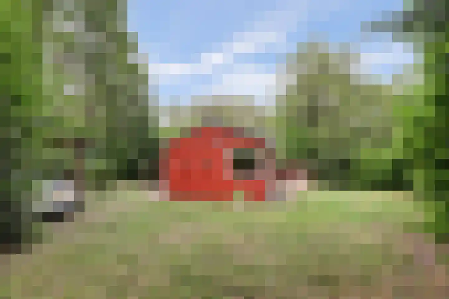 Tienelsweg 37 124 Zuidlaren thumbnail 17