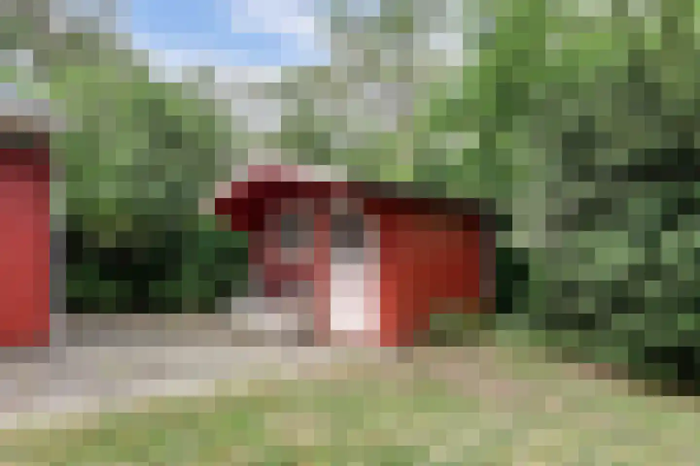 Tienelsweg 37 124 Zuidlaren thumbnail 18
