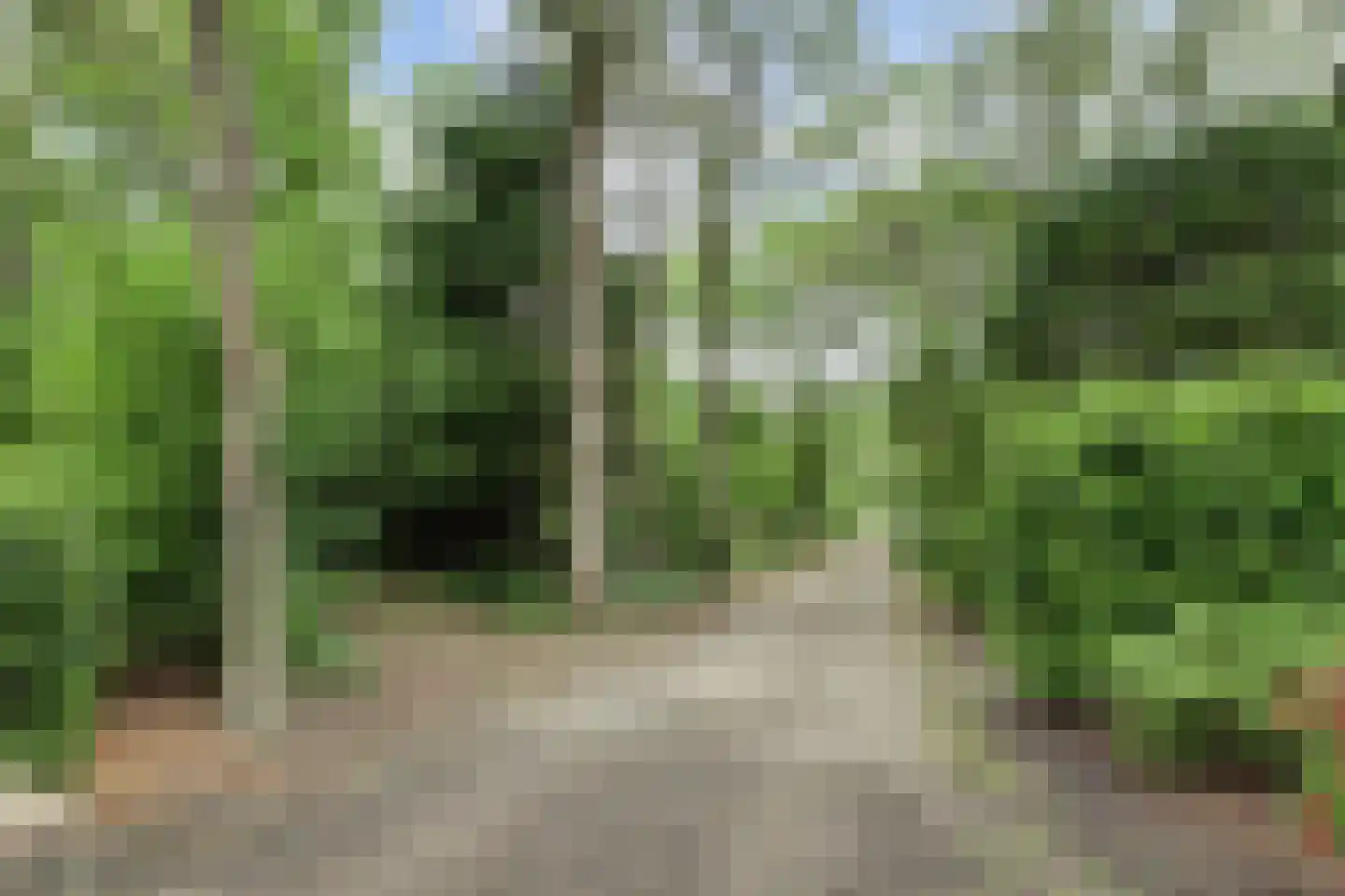 Tienelsweg 37 124 Zuidlaren thumbnail 20
