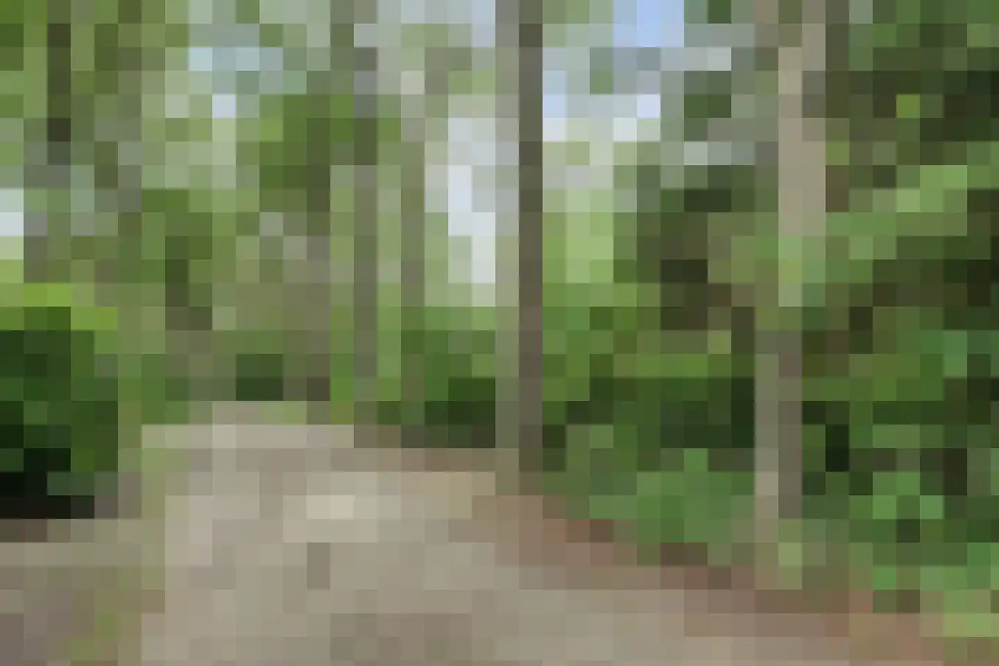 Tienelsweg 37 124 Zuidlaren thumbnail 21