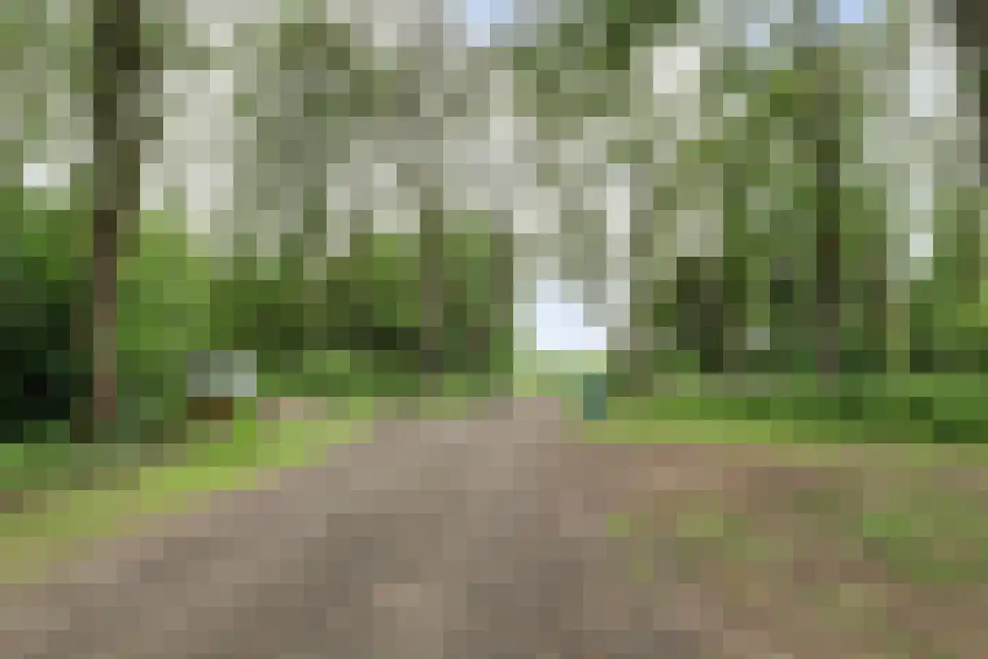 Tienelsweg 37 124 Zuidlaren thumbnail 23