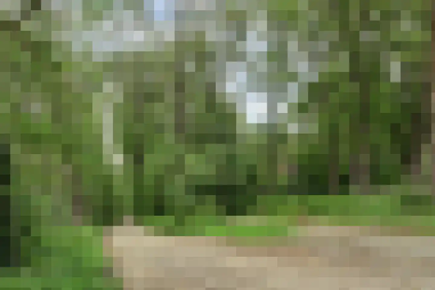 Tienelsweg 37 124 Zuidlaren thumbnail 25