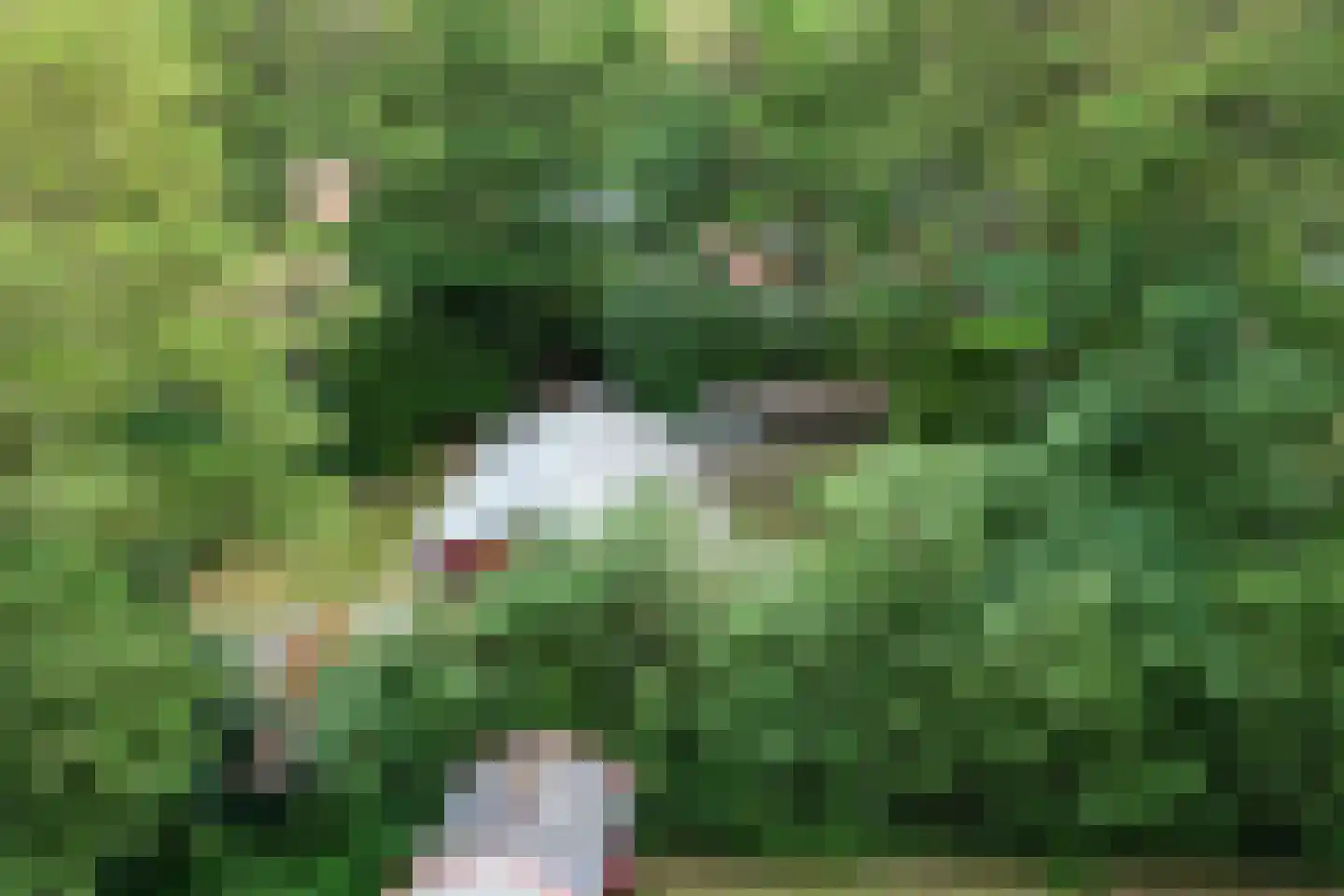 Tienelsweg 37 124 Zuidlaren thumbnail 27