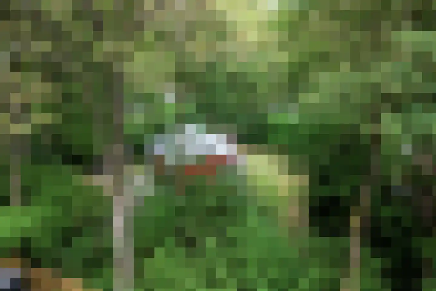 Tienelsweg 37 124 Zuidlaren thumbnail 28