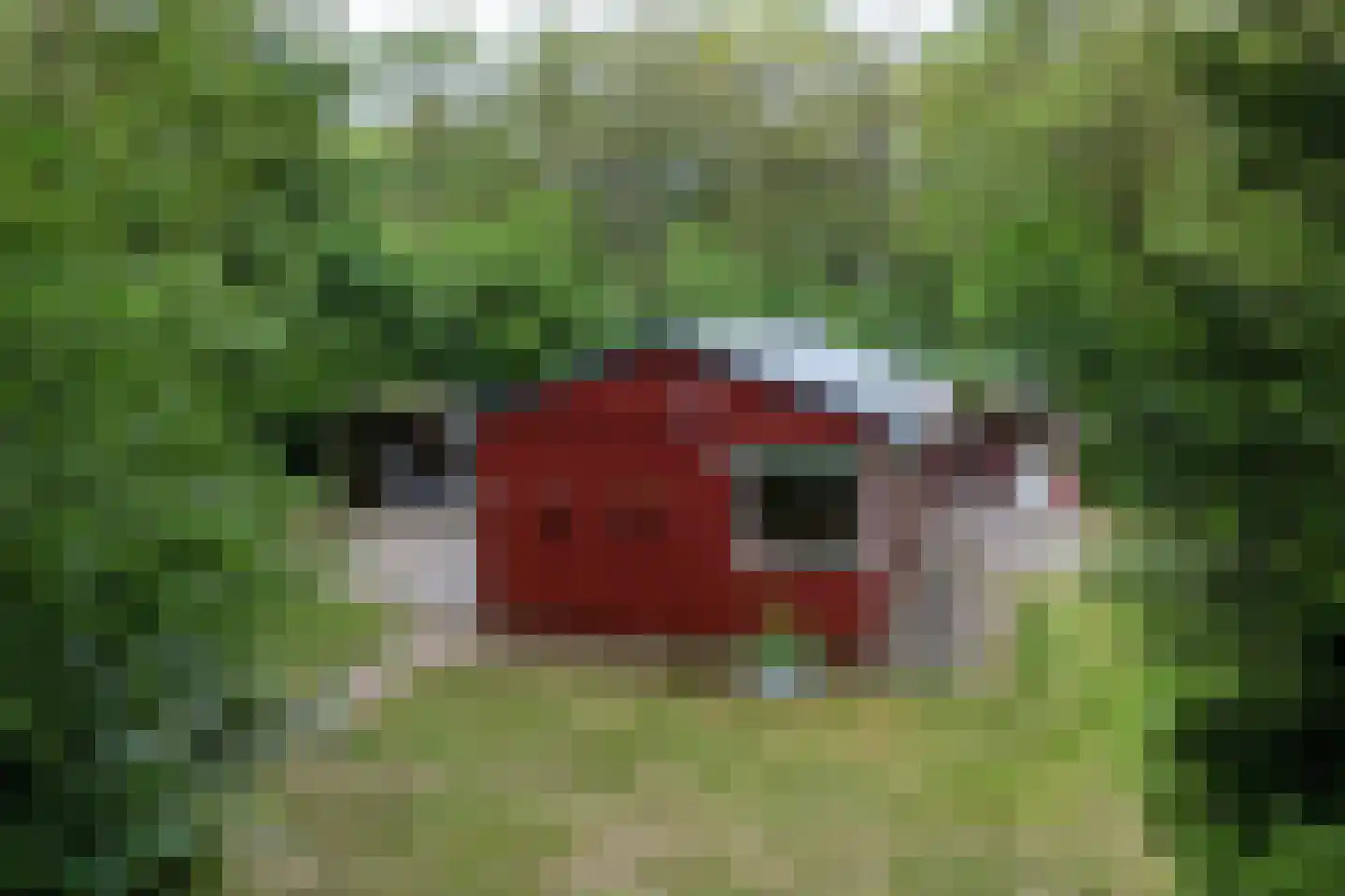 Tienelsweg 37 124 Zuidlaren thumbnail 29