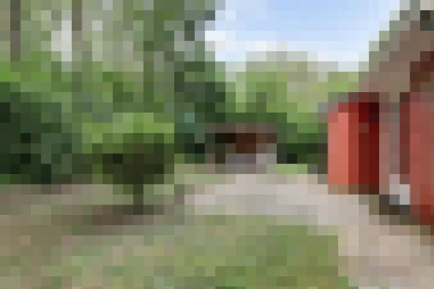 Tienelsweg 37 124 Zuidlaren thumbnail 4