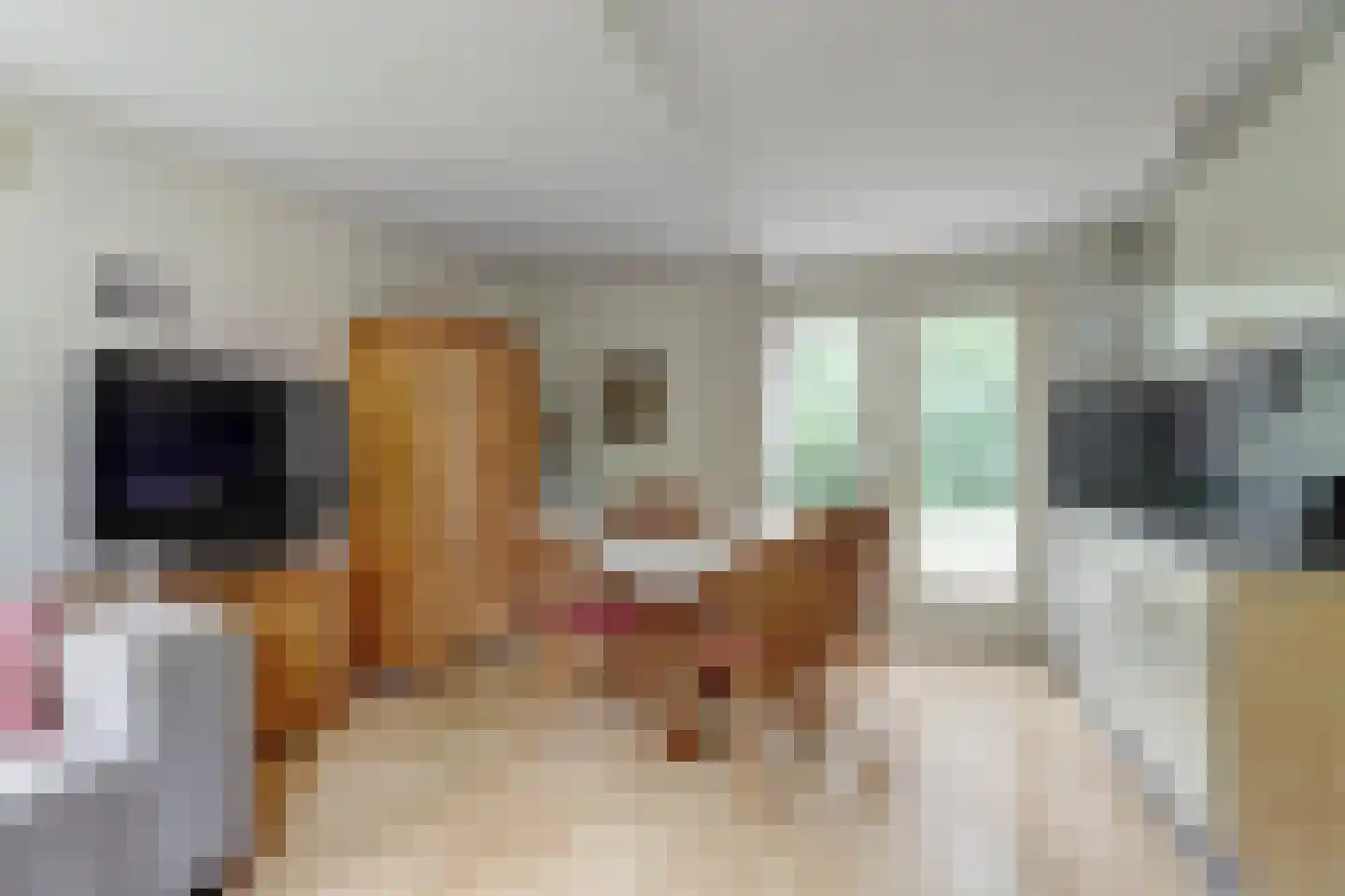 Tienelsweg 37 124 Zuidlaren thumbnail 7