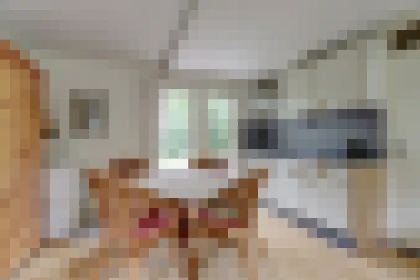 Tienelsweg 37 124 Zuidlaren thumbnail 8