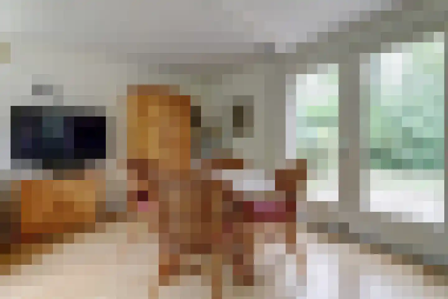 Tienelsweg 37 124 Zuidlaren thumbnail 9