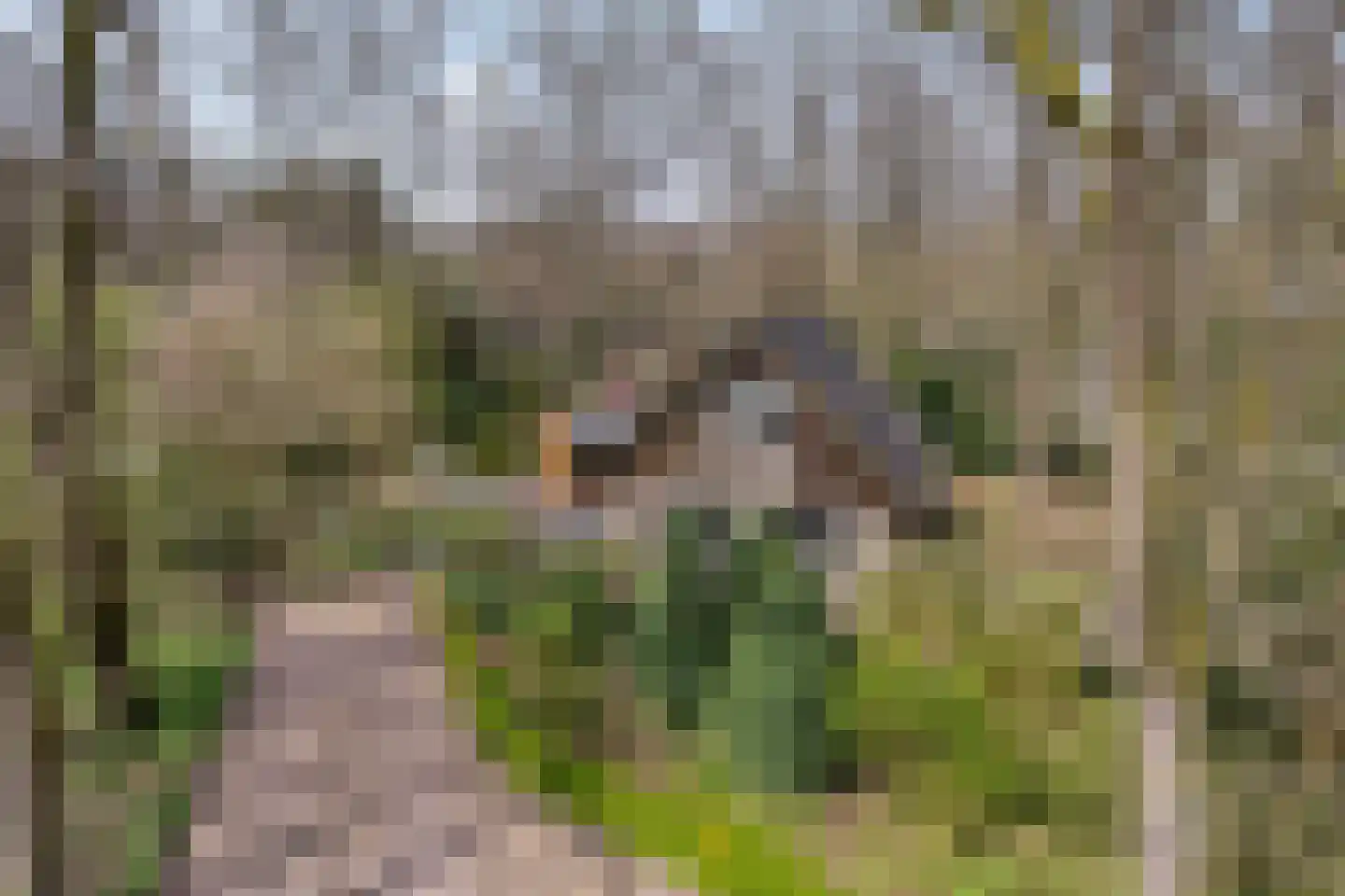 Tienelsweg 37 127 in Zuidlaren