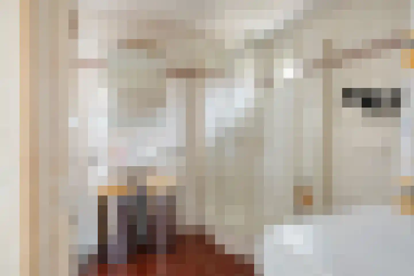 Tienelsweg 37 127 Zuidlaren thumbnail 22
