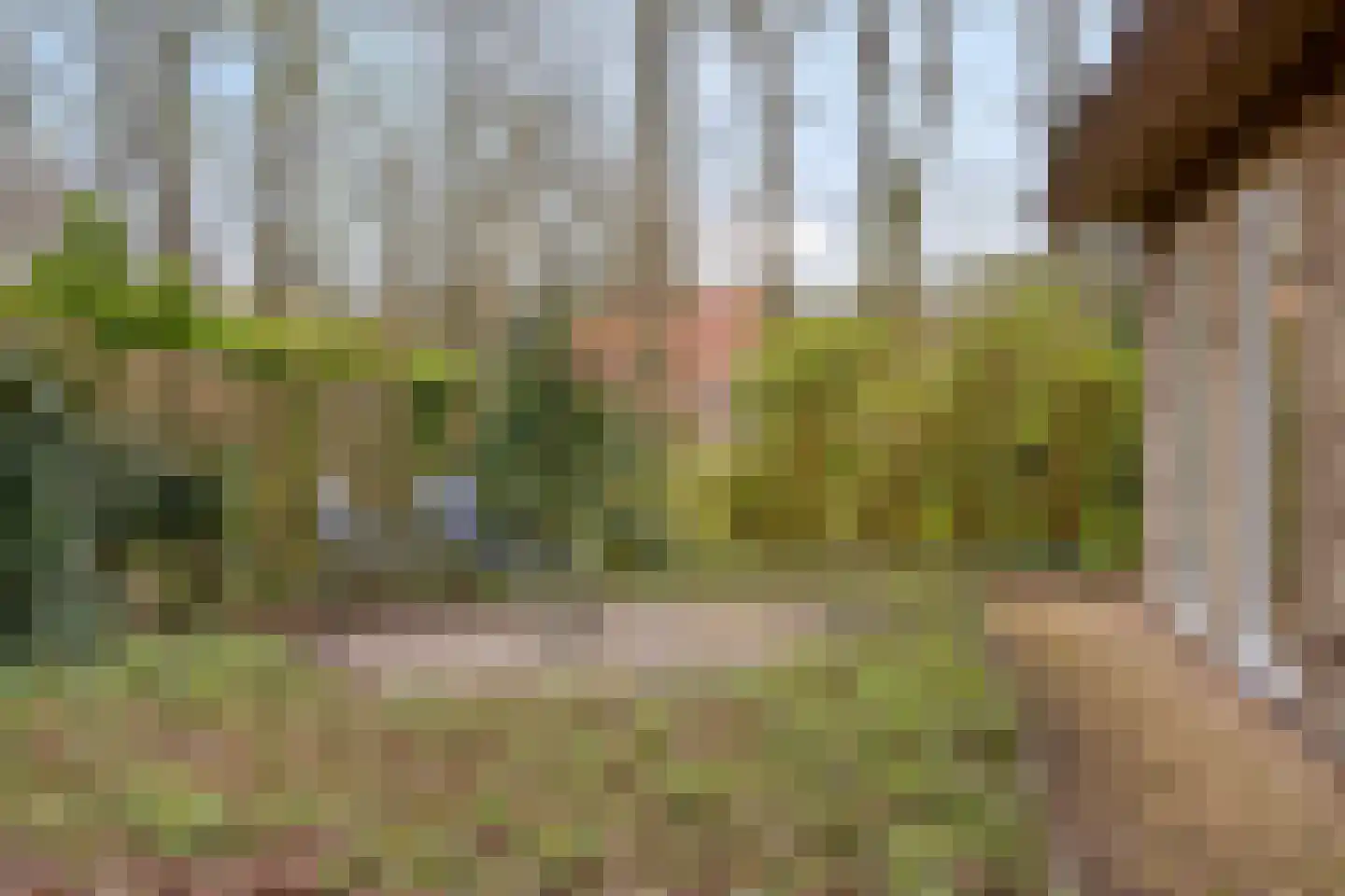 Tienelsweg 37 127 Zuidlaren thumbnail 35