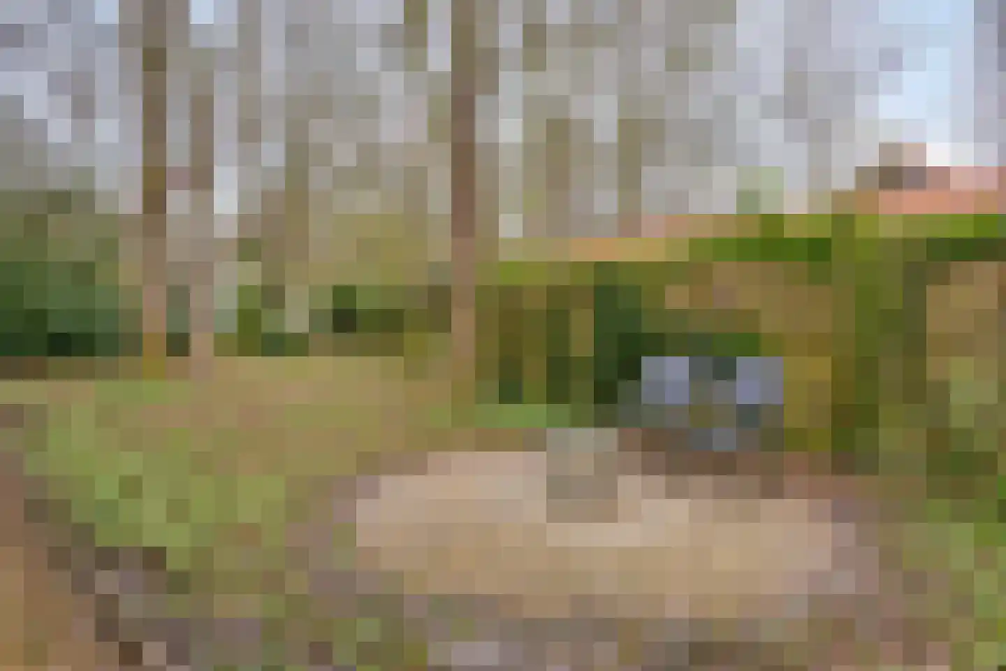 Tienelsweg 37 127 Zuidlaren thumbnail 36
