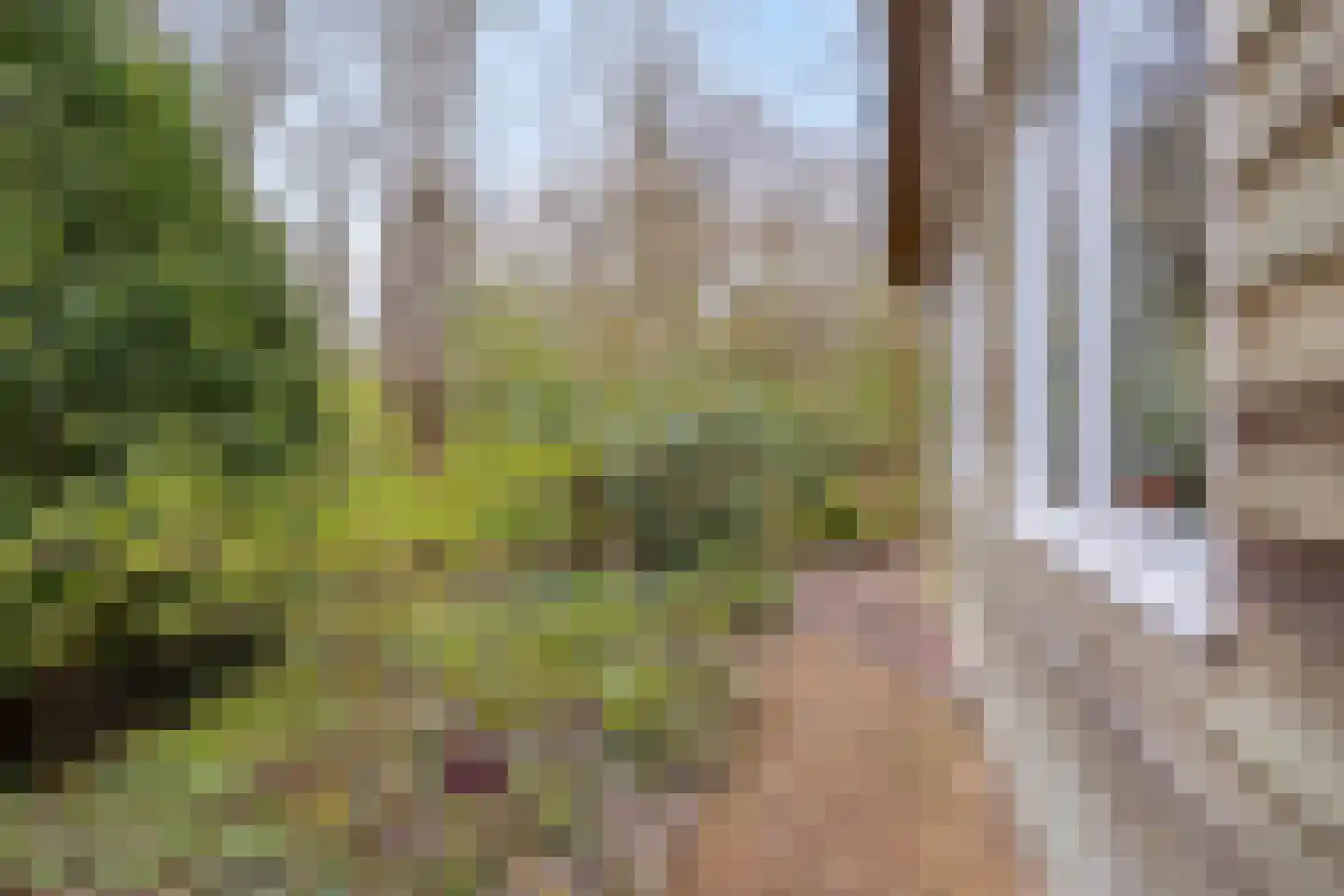 Tienelsweg 37 127 Zuidlaren thumbnail 37