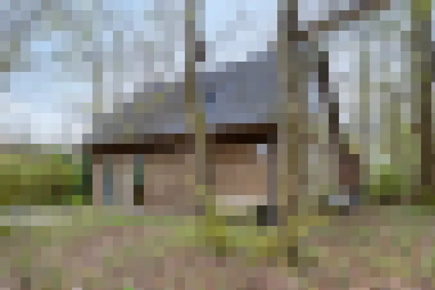 Tienelsweg 37 127 Zuidlaren thumbnail 38